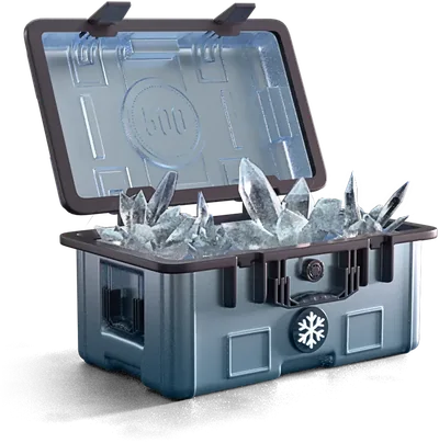 Winter Whisper case on 500 Casino